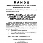 Bando de la mosca