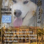 CONCURSO CANINO