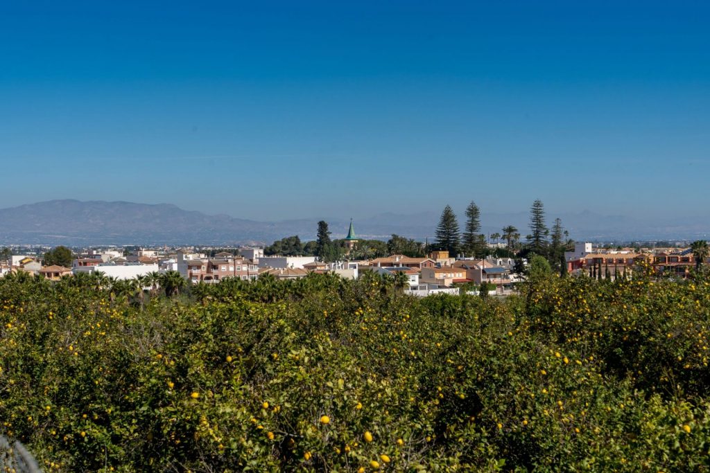 Jacarilla.- Vega Baja